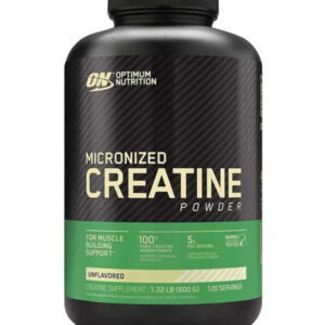Micronized Creatine ON (600 gr)